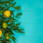 The lemon of Syracuse: a treasure of sicilian agriculture - Walk in Nature