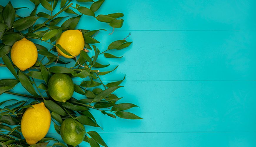 The lemon of Syracuse: a treasure of sicilian agriculture - Walk in Nature