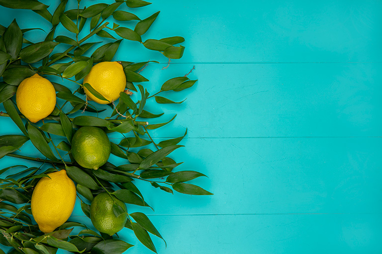 The lemon of Syracuse: a treasure of sicilian agriculture - Walk in Nature