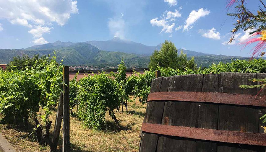 Mount Etna wine tour - Walk in Nature