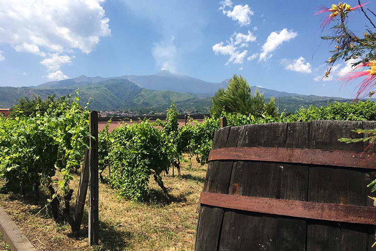 Mount Etna wine tour - Walk in Nature